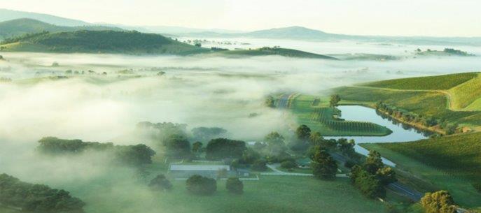 Mist(1)